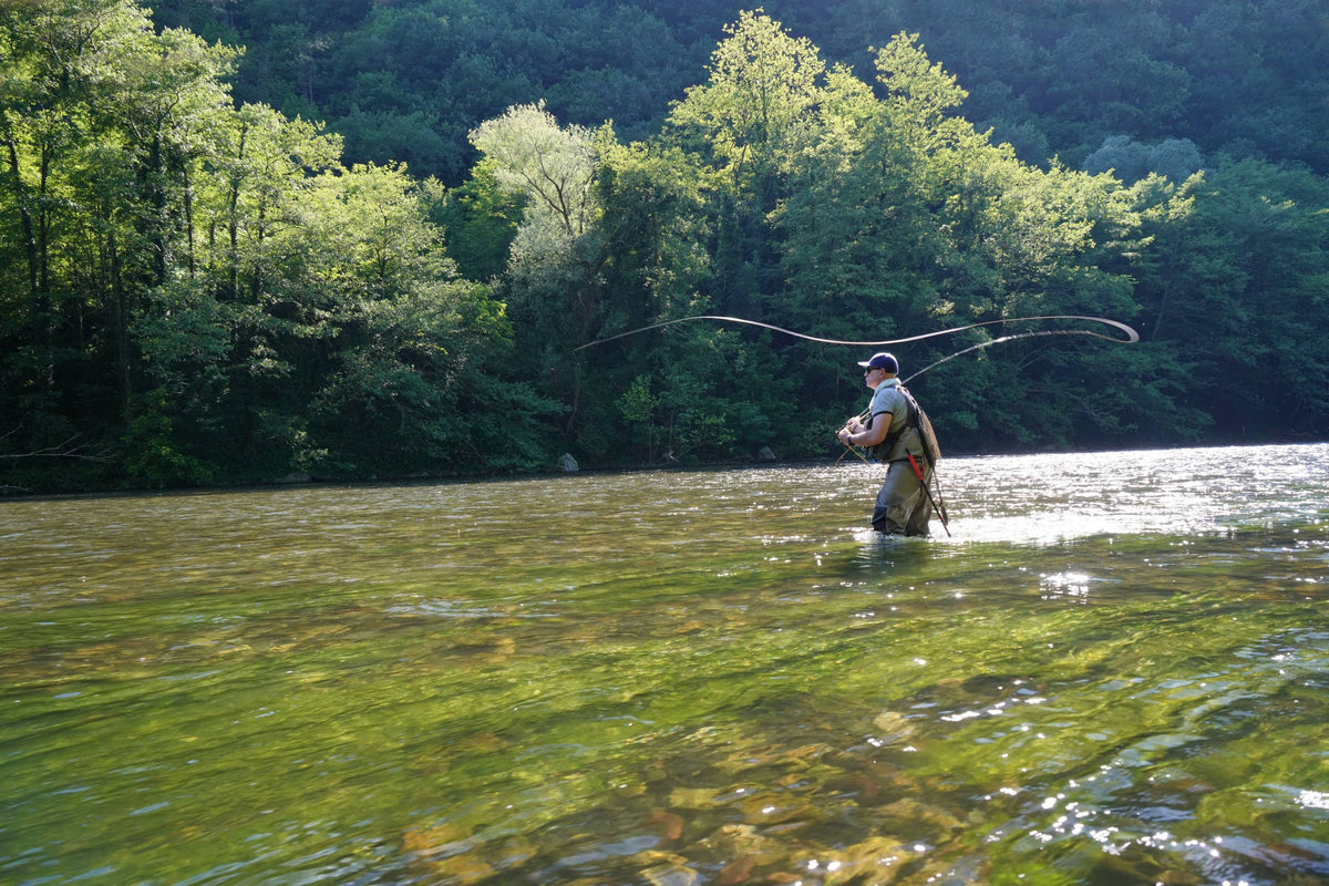 P007 : The Living River — What Lies Beneath the Surface