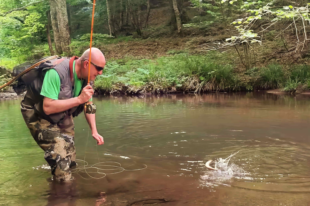 P008 : Small Water, Big Fight — The Thrill of Creek Fishing