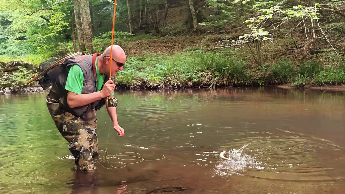 P008 : Small Water, Big Fight — The Thrill of Creek Fishing