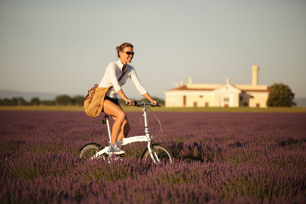P019 : Slow Down and Ride — The Art of Going Nowhere in Particular