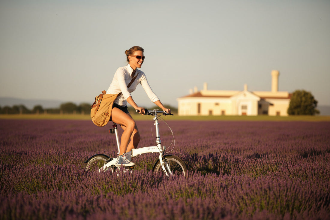 P019 : Slow Down and Ride — The Art of Going Nowhere in Particular
